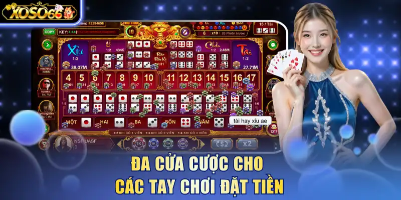 Đa cửa cược cho các tay chơi đặt tiền