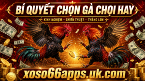 Bi-quyet-chon-ga-choi-hay
